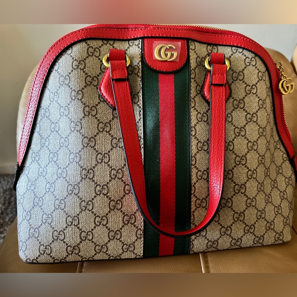 Beautiful luxury inspired bag